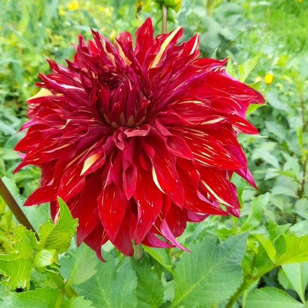 превью изображения отзыва