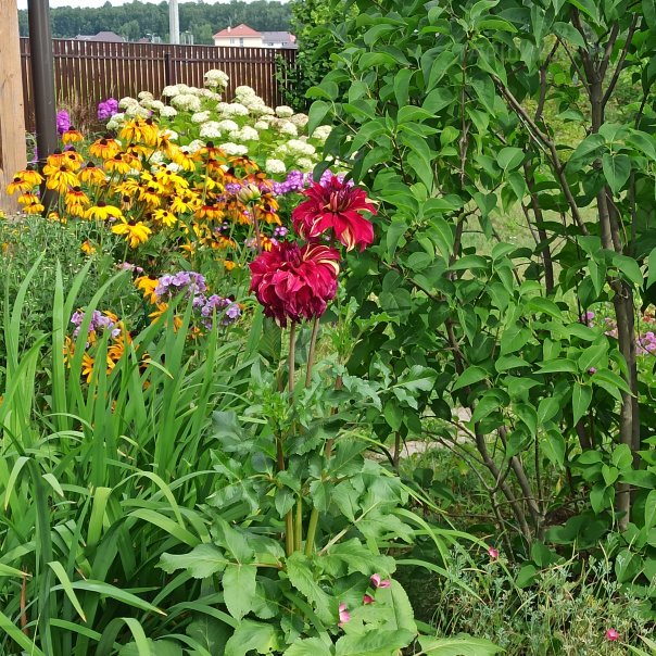 превью изображения отзыва