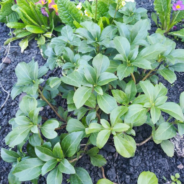 превью изображения отзыва