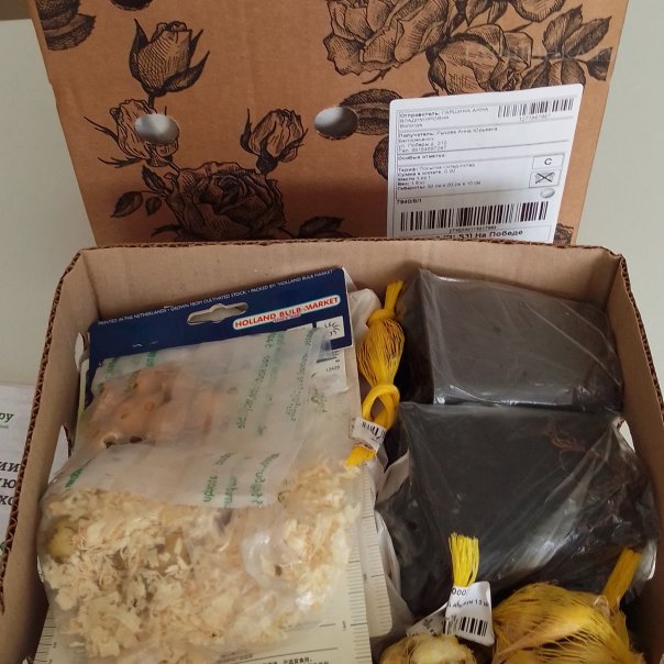 превью изображения отзыва