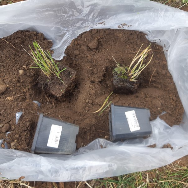 превью изображения отзыва