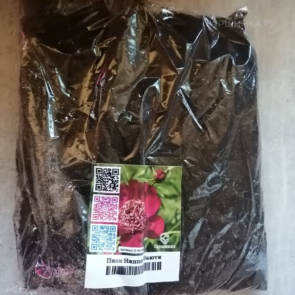 превью изображения отзыва