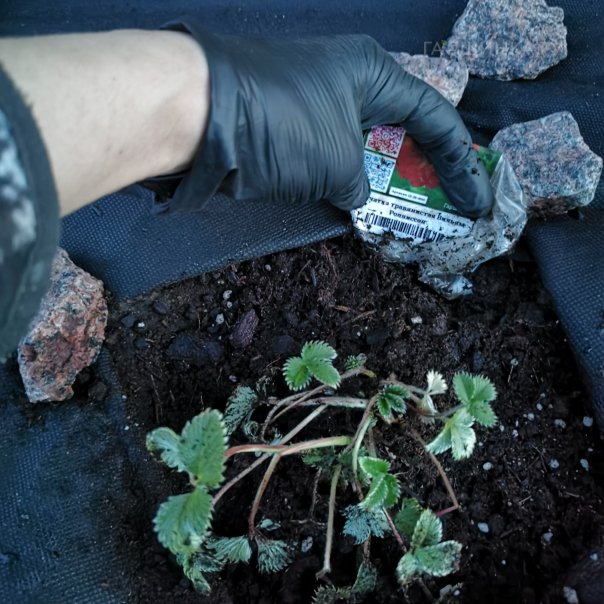 превью изображения отзыва