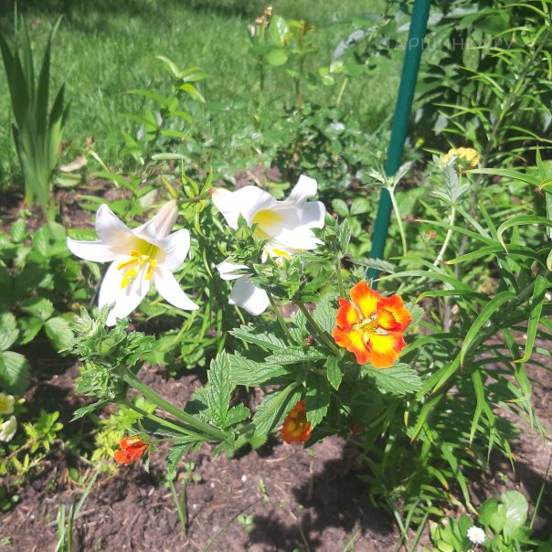 превью изображения отзыва