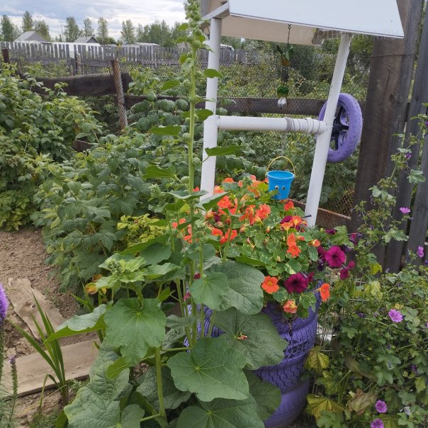 превью изображения отзыва