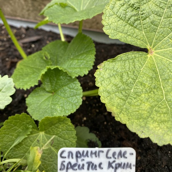 превью изображения отзыва