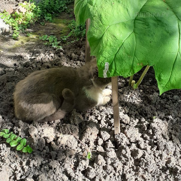 превью изображения отзыва