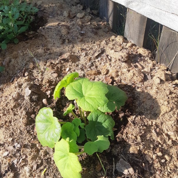 превью изображения отзыва