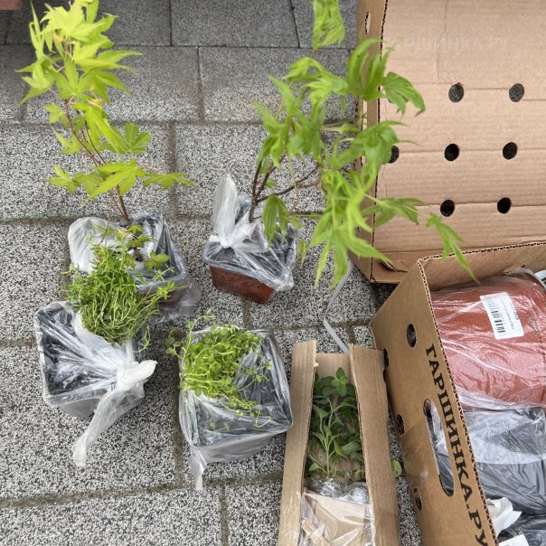 превью изображения отзыва