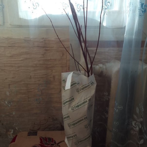 превью изображения отзыва