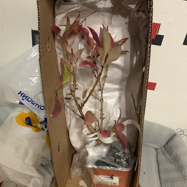 превью изображения отзыва