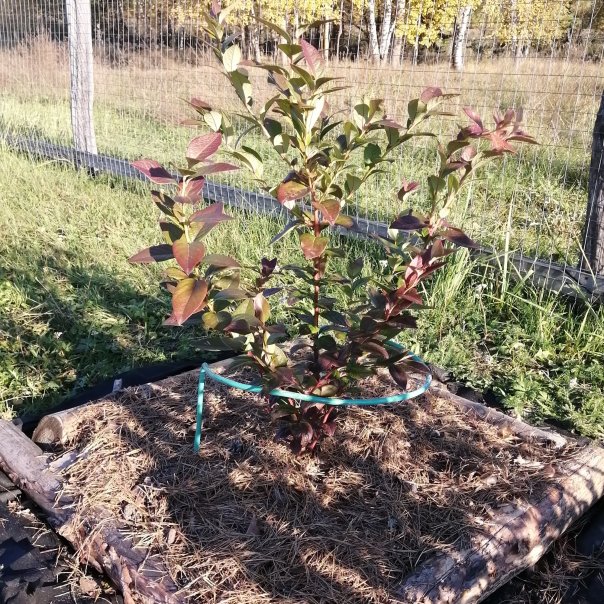 превью изображения отзыва