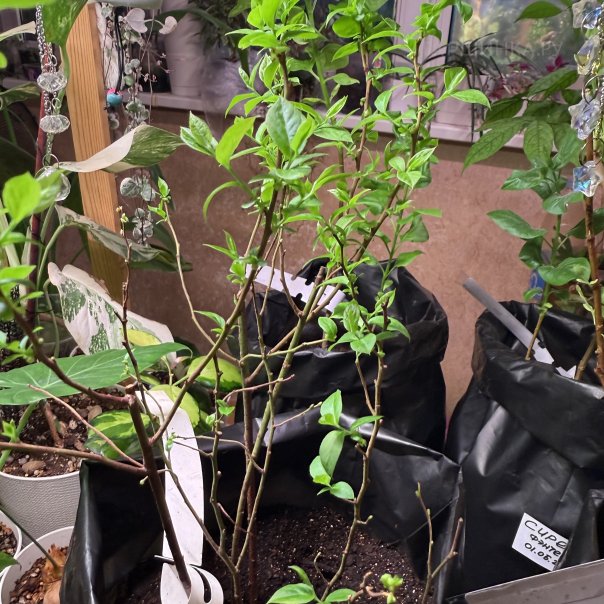 превью изображения отзыва