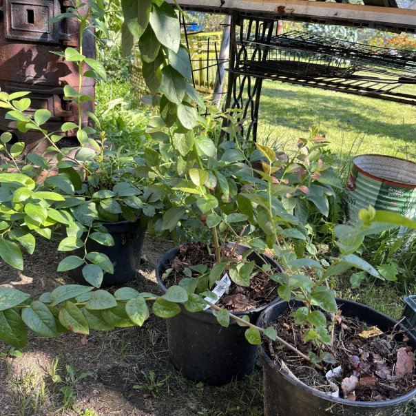 превью изображения отзыва