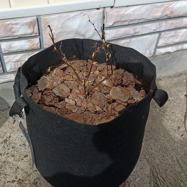 превью изображения отзыва