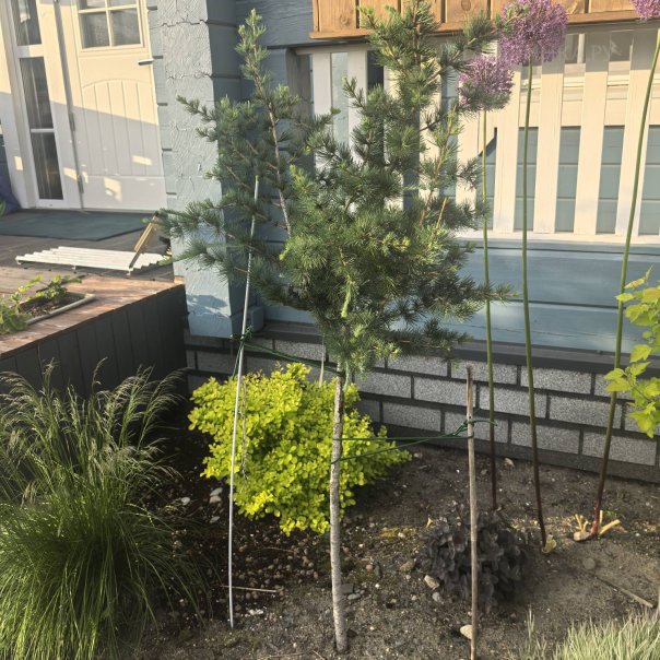 превью изображения отзыва