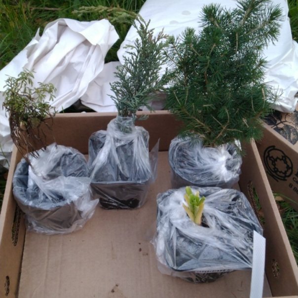 превью изображения отзыва