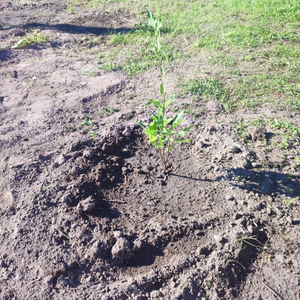 превью изображения отзыва