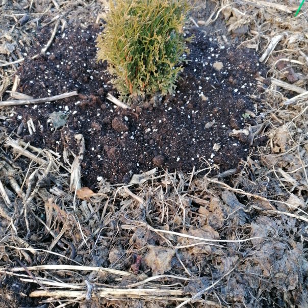 превью изображения отзыва