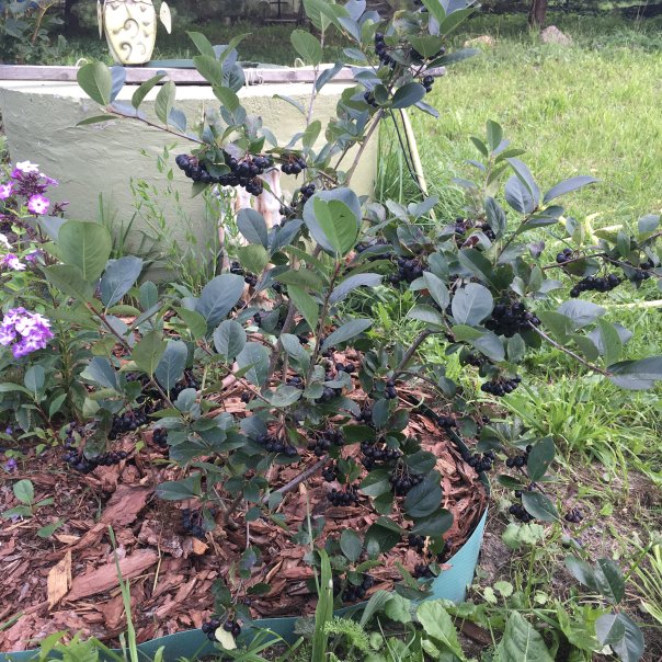 превью изображения отзыва