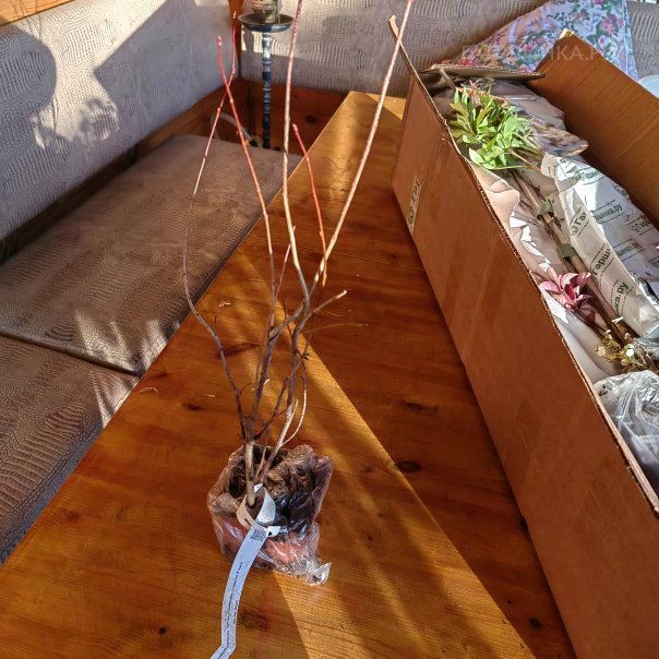 превью изображения отзыва