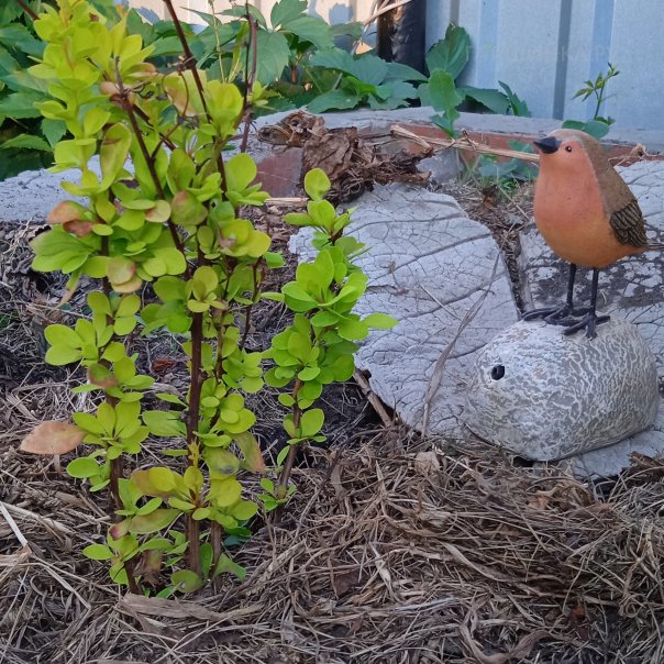 превью изображения отзыва