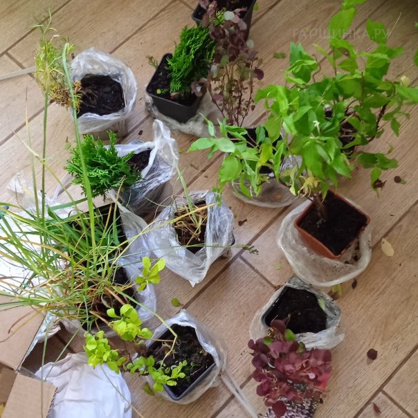 превью изображения отзыва