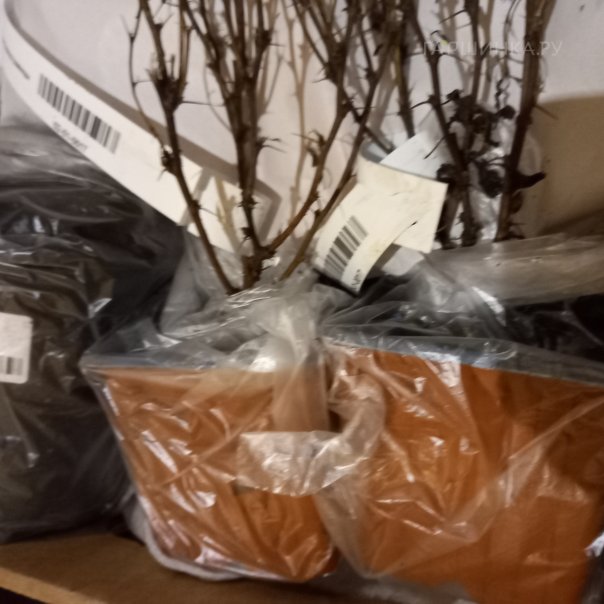 превью изображения отзыва