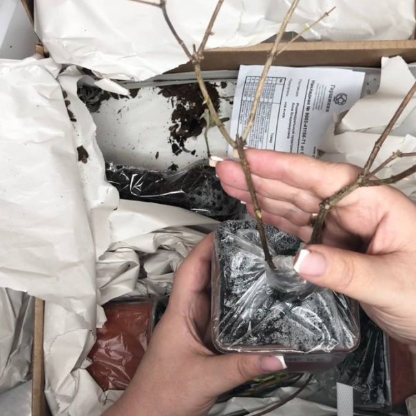 превью изображения отзыва