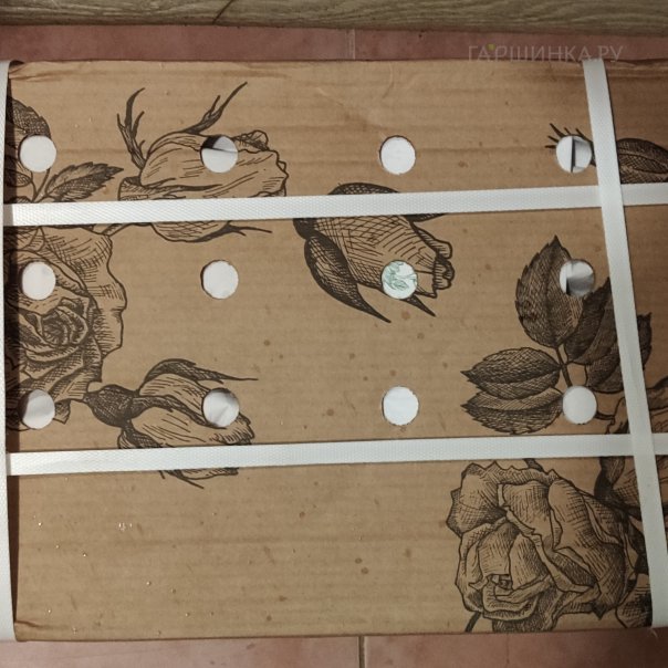 превью изображения отзыва