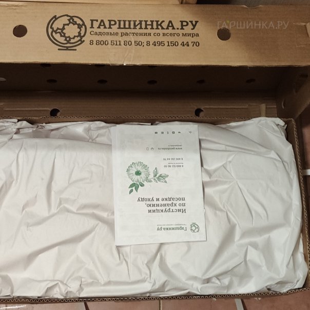 превью изображения отзыва