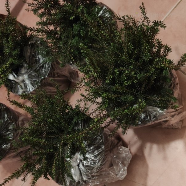 превью изображения отзыва