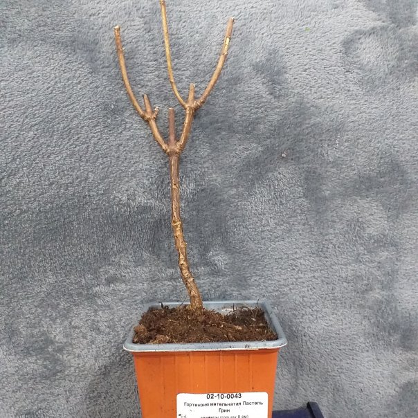 превью изображения отзыва