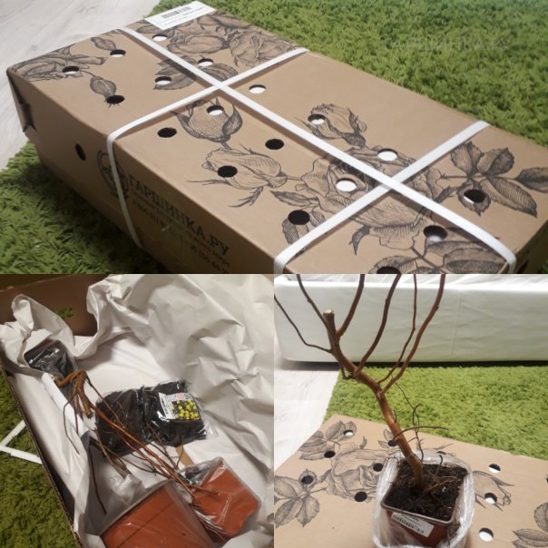 превью изображения отзыва