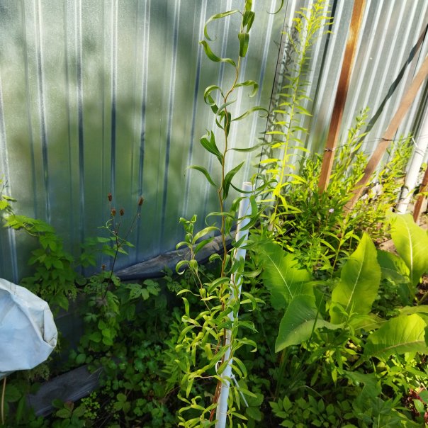 превью изображения отзыва