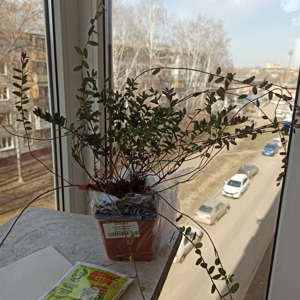 превью изображения отзыва