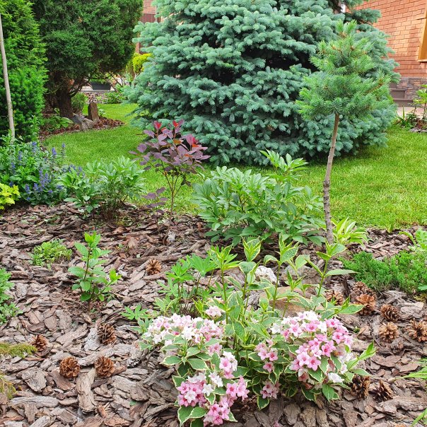 превью изображения отзыва