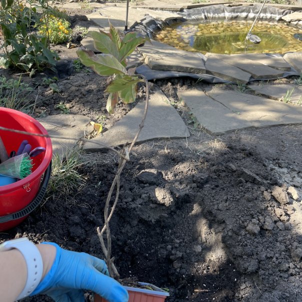 превью изображения отзыва