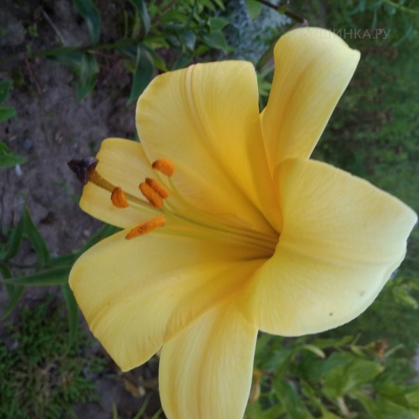 превью изображения отзыва