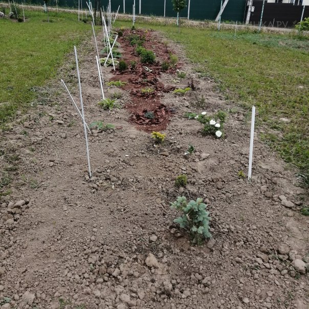 превью изображения отзыва