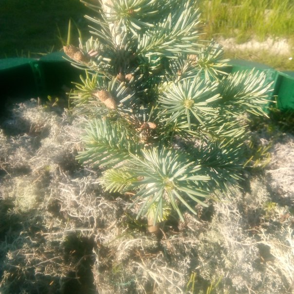 превью изображения отзыва