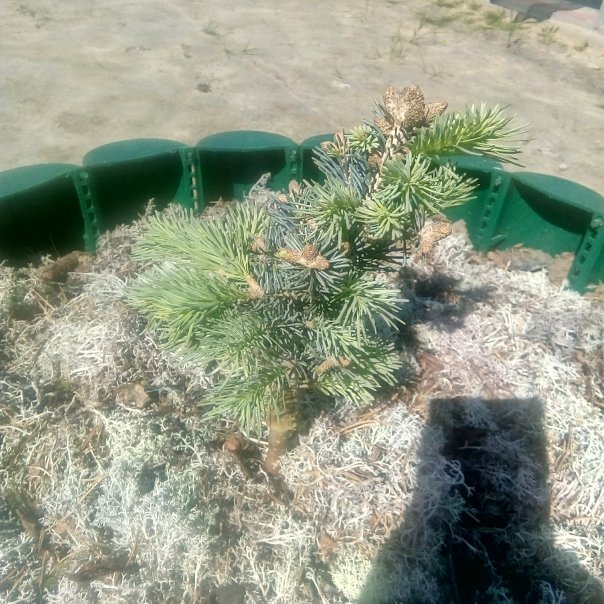 превью изображения отзыва