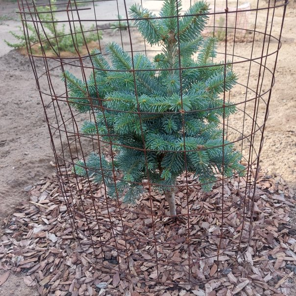 превью изображения отзыва