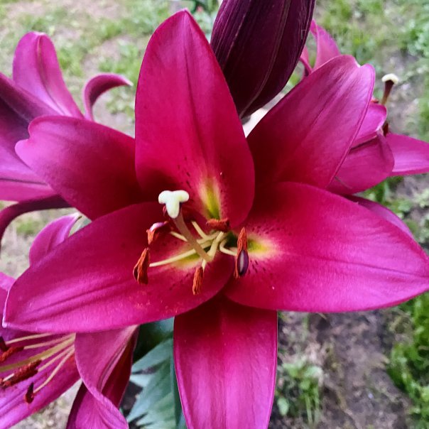 превью изображения отзыва