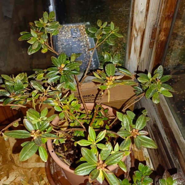 превью изображения отзыва