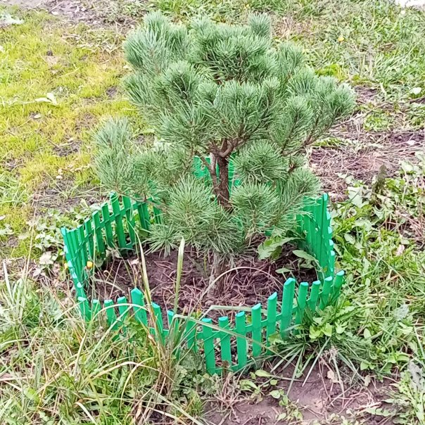 превью изображения отзыва