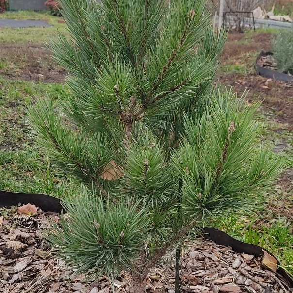 превью изображения отзыва