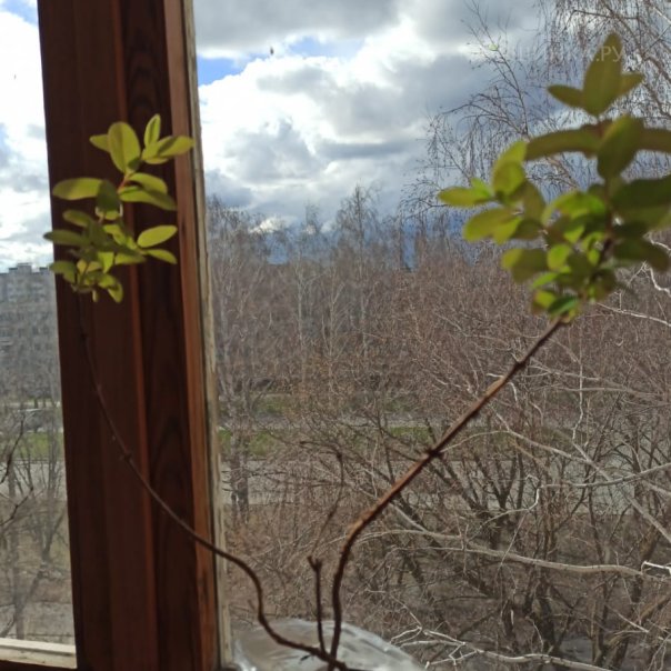 превью изображения отзыва