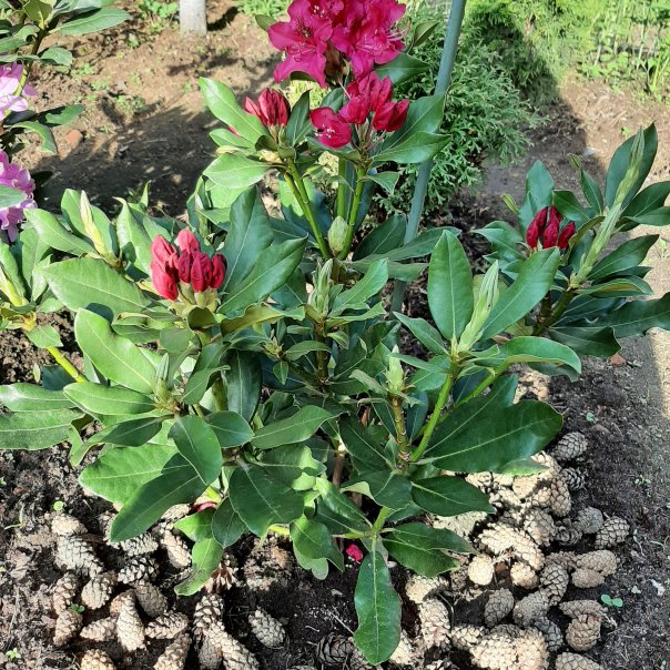 превью изображения отзыва