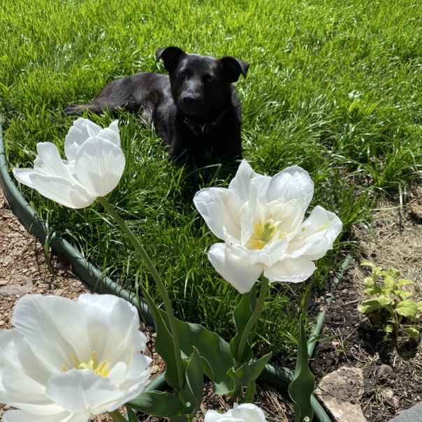 превью изображения отзыва